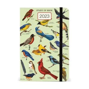 Study of Birds: agenda semanal 2023