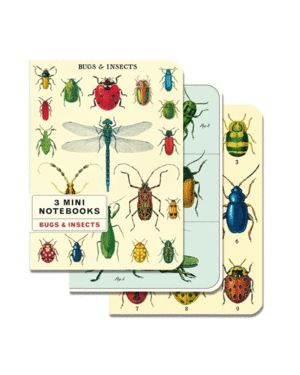 Bugs & Insects: set de 3 mini libretas