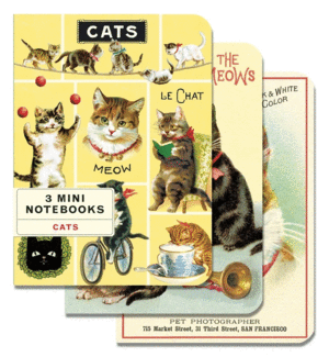Cats: set de 3 mini libretas