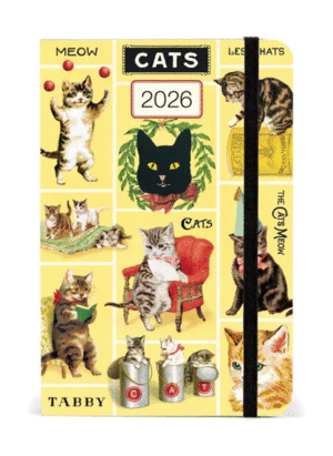 Cats: agenda 2026