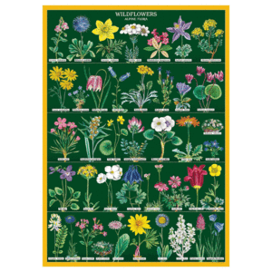 Wildflowers, Alpine Flora, Vintage Poster: papel decorativo