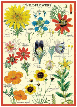 Wildflowers, Vintage Puzzle Greeting Card: rompecabezas 60 piezas y tarjeta de felicitación