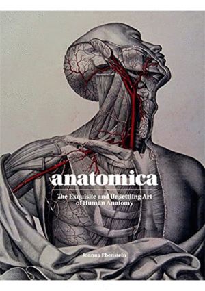 Anatomica