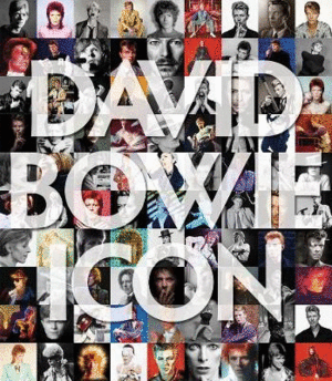 David Bowie Icon