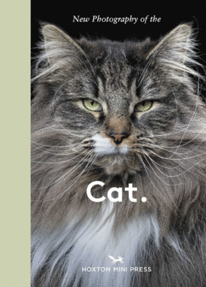 New Photography of the Cat