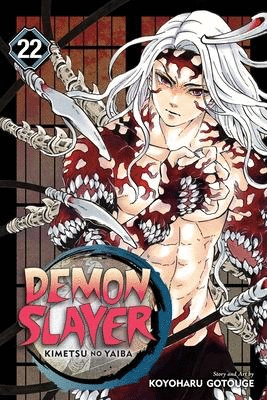 Demon Slayer Vol. 22