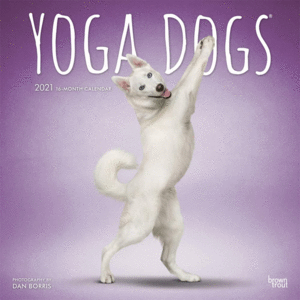 Yoga Dogs: calendario 2021
