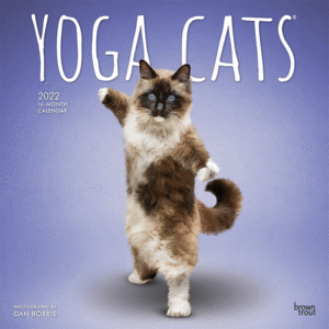 Yoga Cats: calendario 2022