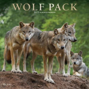Wolf Pack: calendario de pared 2023