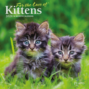 For The Love Of Kittens, 16 Month: calendario de pared mini 2024