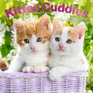 Kitten Cuddles, 16 Month: calendario de pared 2024