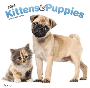 Kittens & Puppies, 16 Month: calendario de pared 2024