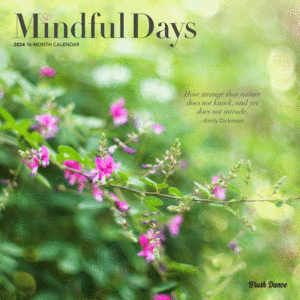 Mindful Days, 16 Month: calendario de pared 2024