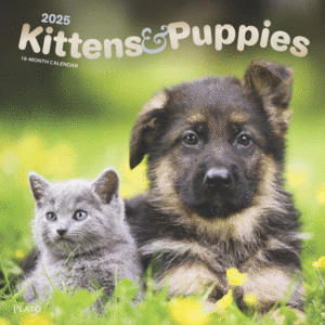 Kittens & Puppies, 16 Month: calendario de pared 2025