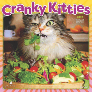 Avanti, Cranky Kitties, 16 Month: calendario de pared 2025