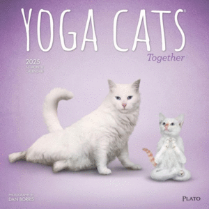 Yoga Cats Together, 16 Month: calendario de pared 2025