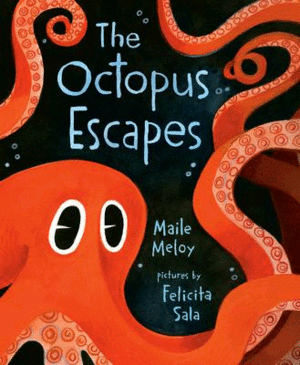 Octopus escapes, The
