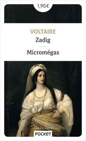Zadig / Suivi de Micromégas