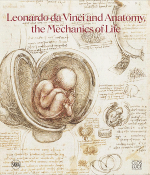 Leonardo Da Vinci and Anatomy