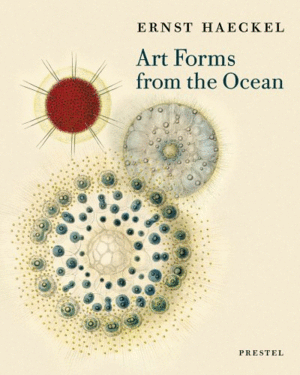 Art Forms from the Ocean