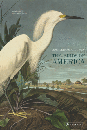 Birds of America, The
