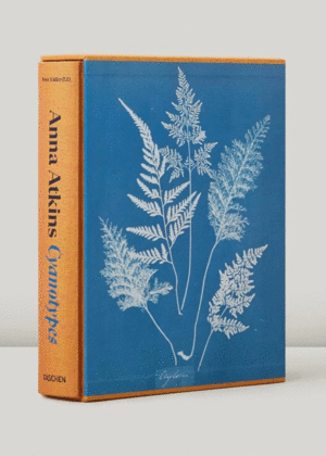 Anna Atkins. Cyanotypes