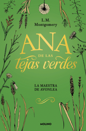 Ana de Las Tejas Verdes 3