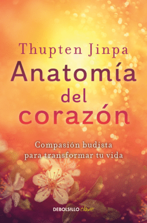 Anatomía del corazón
