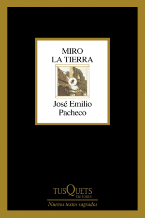 Miro la tierra