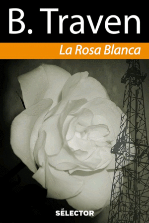 Rosa blanca, La