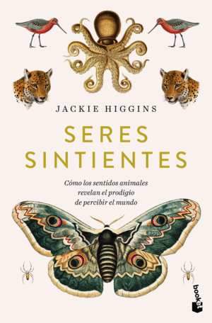Seres sintientes