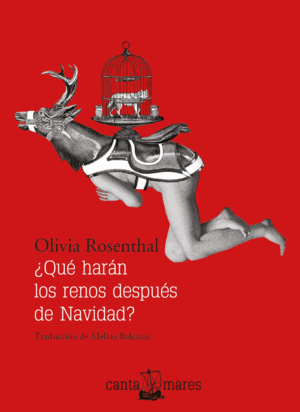 ¿Qué harán los renos después de Navidad?