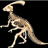Mi dinosaurio gigante: Parasaurolophus