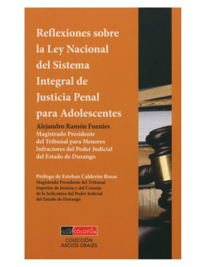 Reflexiones sobre la Ley Nacional del Sistema Integral de justicia penal para adolecentes