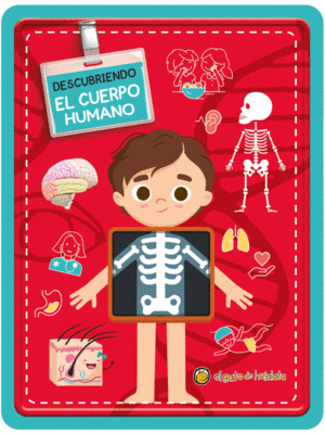 Descubriendo el cuerpo humano