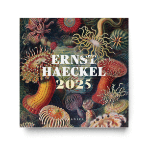 Ernst Haeckel: calendario de pared 2025