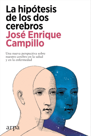 Hipótesis de los dos cerebros, La