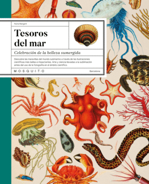 Tesoros del mar