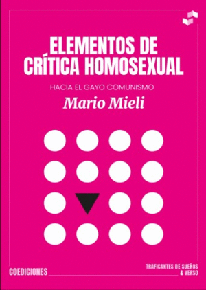 Elementos de crítica homosexual