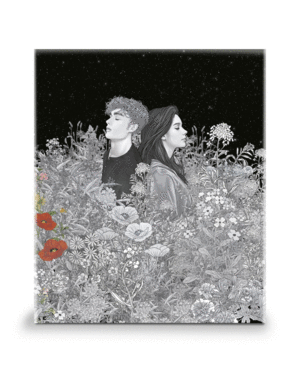 Estuche Saga Crepúsculo (Crepúsculo, Luna nueva, Eclipse y Amanecer)