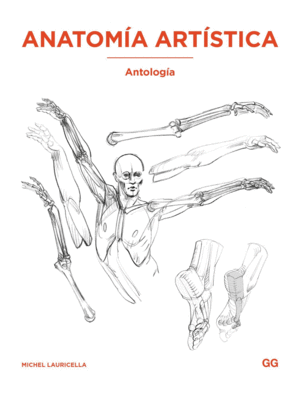 Anatomía artística