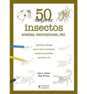 50 dibujos de insectos