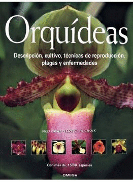 Orquideas, más de 1500 orquideas