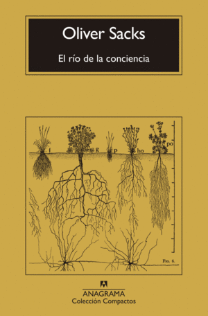 Río de la conciencia, El