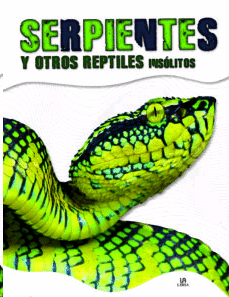 Serpientes y otros reptiles insolitos