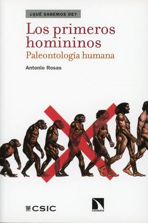 Primeros homininos, Los