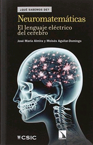 Neuromatemáticas: el lenguaje eléctrico del cerebro