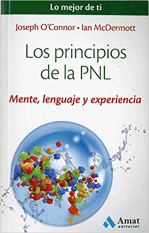 Principios de la PNL, Los