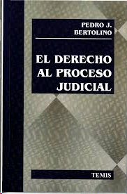 Derecho al proceso judicial, El
