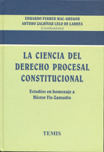 Ciencia del derecho procesal constitucional, La